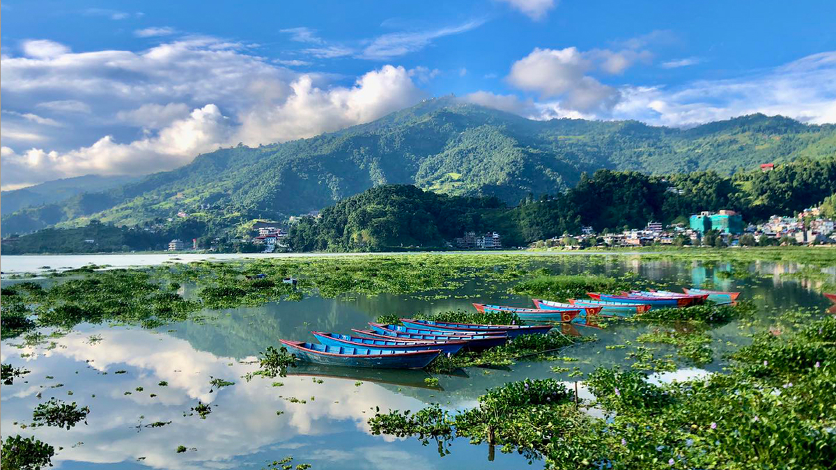 फेवाताल सफाई महाअभियान सुरु गर्दै पोखरा महानगर 